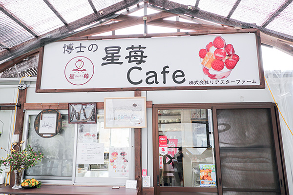 星苺カフェ