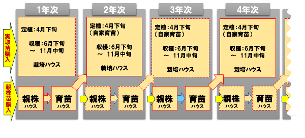 周年栽培技術