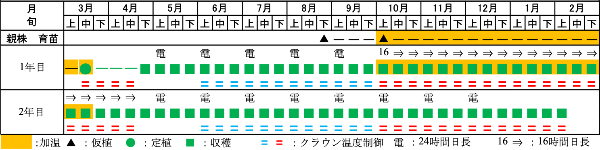周年栽培技術