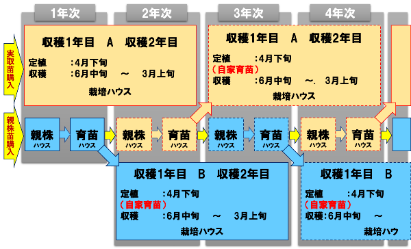 周年栽培技術