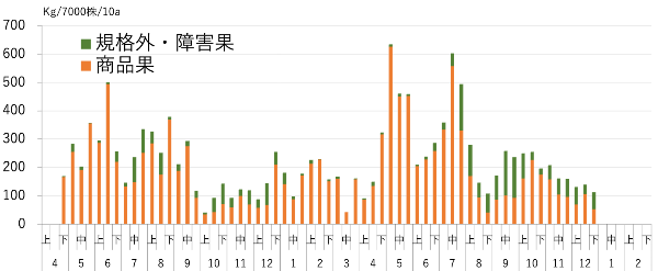 周年栽培技術