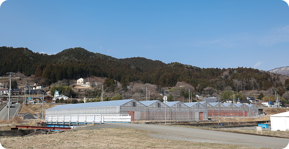 リアスターファーム