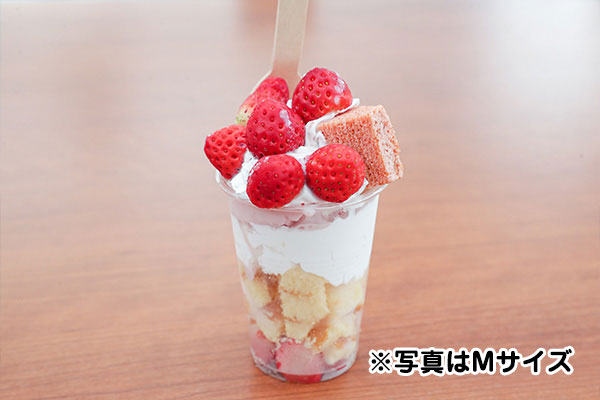 メニュー案内